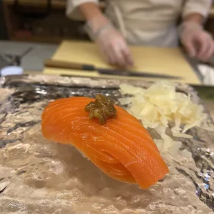 Salmon