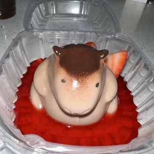 Capybara jelly pudding