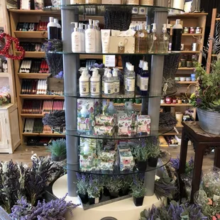 Lavender lotions and soaps