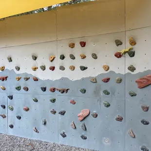 Outdoor mini climbing wall