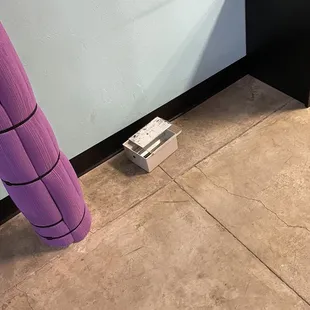 Rat trap by shoe cubbies for kids