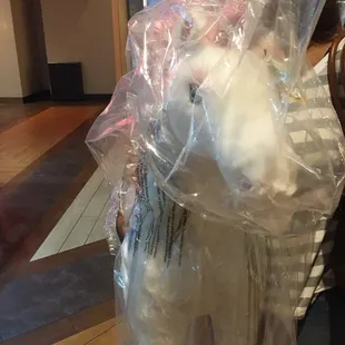 My shiny new unicorn!