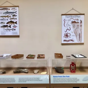 Fossil area