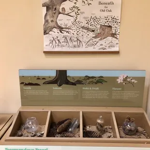 Fossil area
