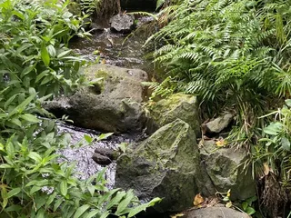 Hawaii Nature Center