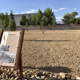 Orchard @ Kiel Ranch Historic Park - 8/20/17
