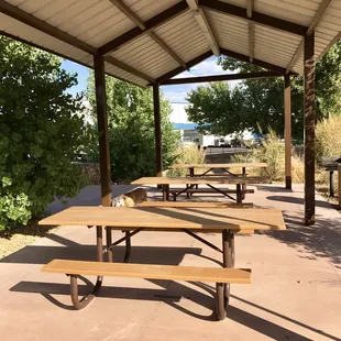 Picnic area @ Kiel Ranch Historic Park - 8/20/17