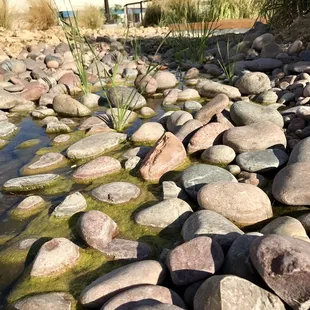 @ Kiel Ranch Historic Park - 8/20/17