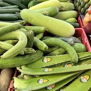Vegetable