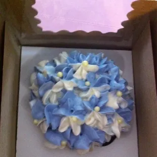 Someone dropped off cupcakes to sell. Pretty to look at