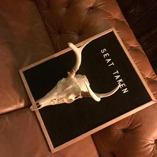 a cow skull on a leather couch