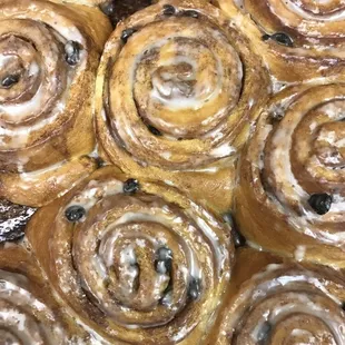 Cinnamon Rolls