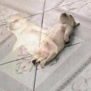 L ..