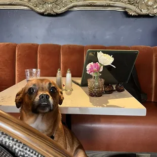 Currie enjoying the welcoming atmosphere!