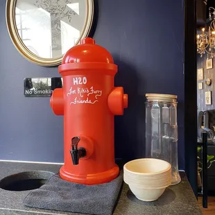 Water for the fur babies