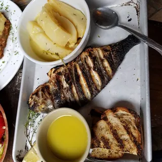 Dorado