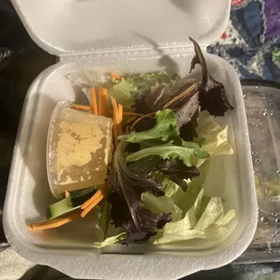 Their side salad came with a dinner plate and was notably fresh and tasty. 13JAN25