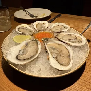 Oysters