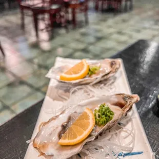 Oyster