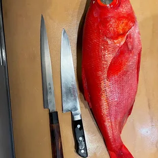 sashimi, sushi, food, sushi and sashimi