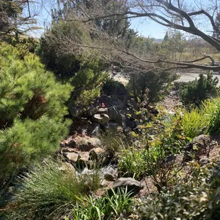 Surrounded by a huge water feature
