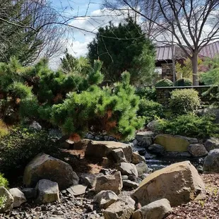 a garden with rocks and trees