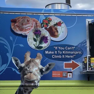 A cute giraffe on the truck.