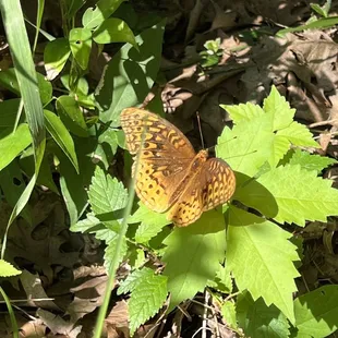Never know what you&apos;ll find on the trail.