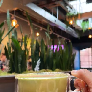 Apple cider matcha