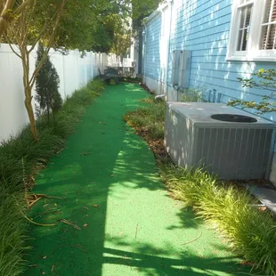 The putting green looks like it hasn't been maintained.