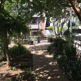 outside, ramen and noodles