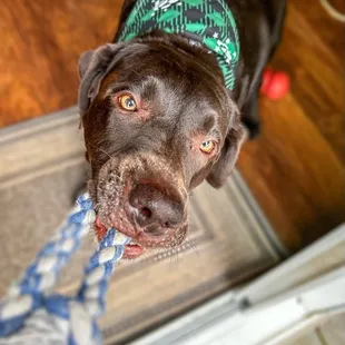 Tug of war while boarding