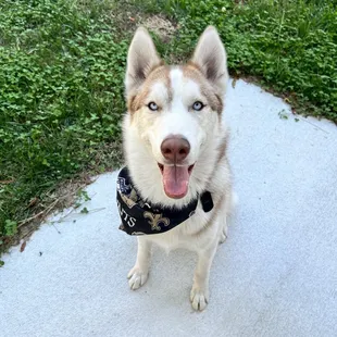 Boarding with Kilo One