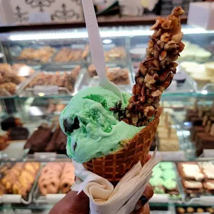 Mint chocolate chip ice cream with a chocolate/nut coated pretzel stick