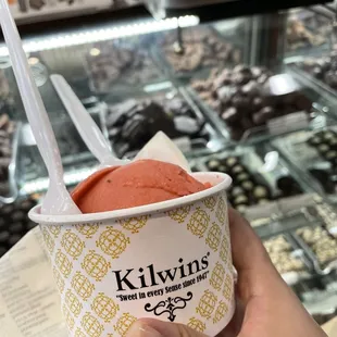 Raspberry sorbet (10/10); flavor was top-notch. For my dairy-free folks, this is a great choice.