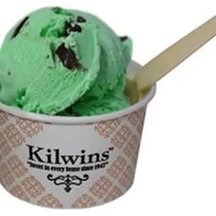 Mint Chocolat Chip Ice Cream