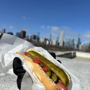 Kim & Carlo's Hot Dog Stand
