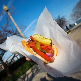 Chicago hot dog