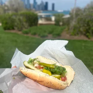 a view of the chicago skyline