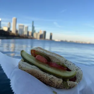 a hand holding a hot dog