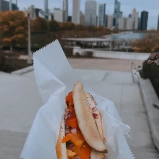 a view of the chicago skyline