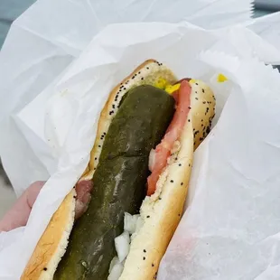 food, hot dog, hot dogs, sandwich