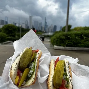 food, hot dogs, sandwich, hot dog