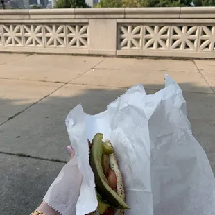 Chicago dog with a view
