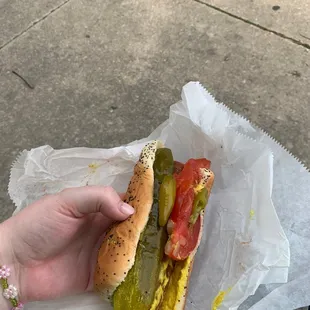 Veggie Dog