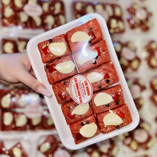 Nem chua - cured fermented pork.