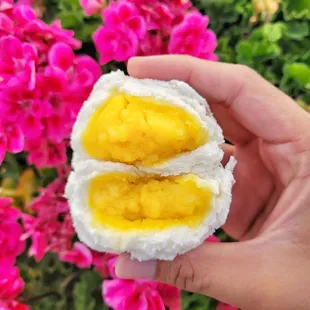 Bánh bao ngọt (custard buns)