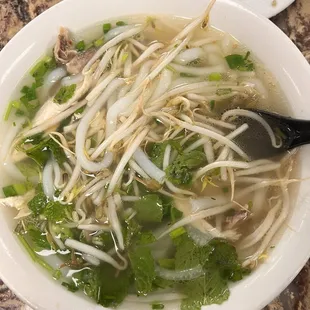Chicken Udon Noodle Pho