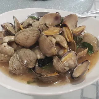 L45. Clam with Basil Hot Sauce Lunch Special