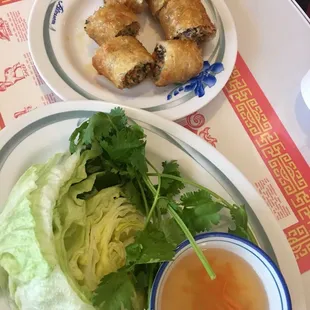 Vietnamese Spring Rolls
